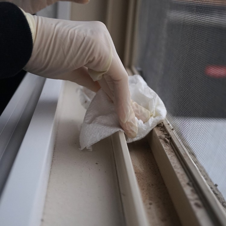 Property Maintenance in Edina, MN